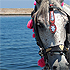 Greek Horse