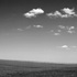 Landscape #1