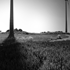 Landscape #2