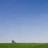Landscape #3