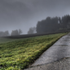 Foggy landscape