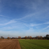 Blue Sky